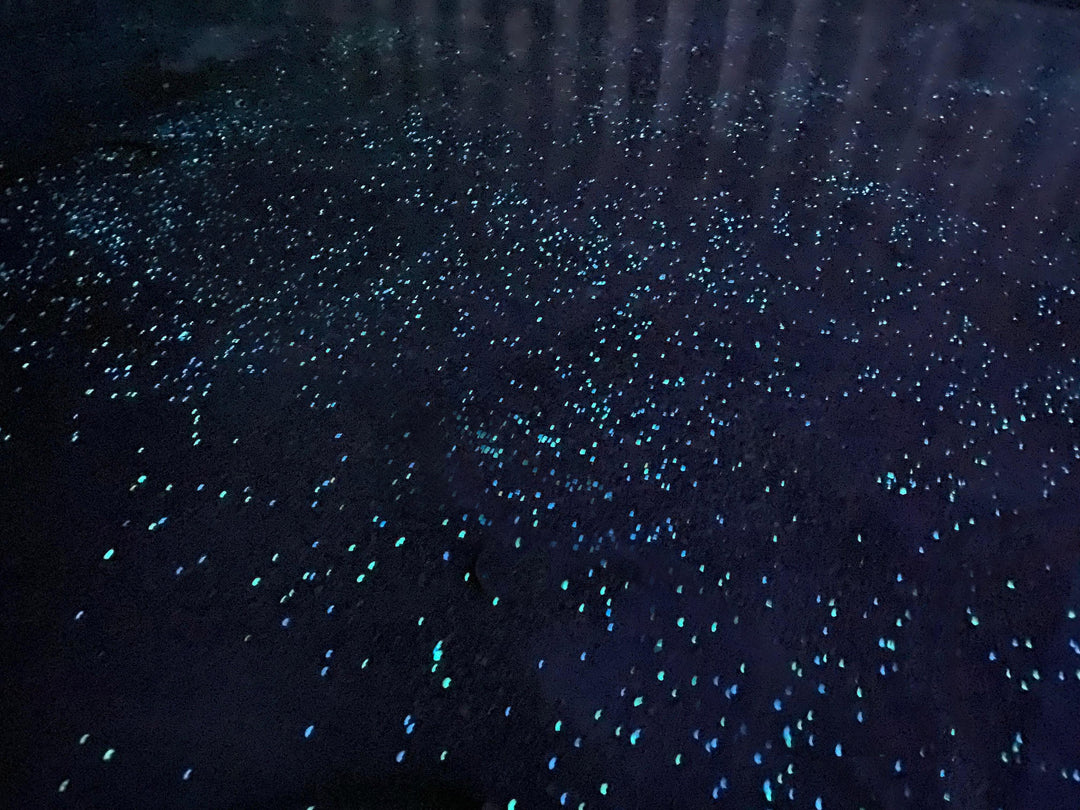 Glowing Pools: Swimming Under The Stars