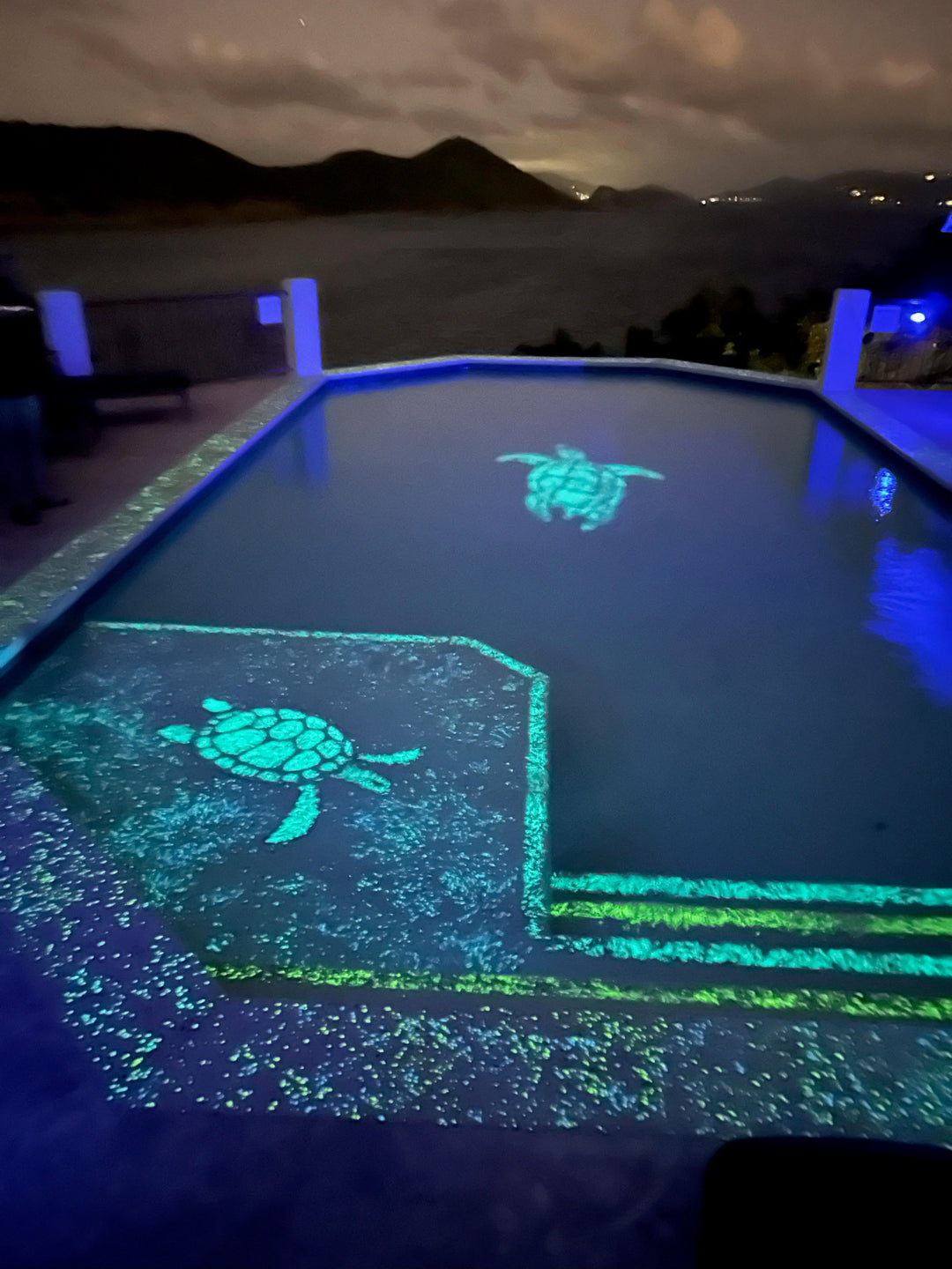 Glow turtle pool