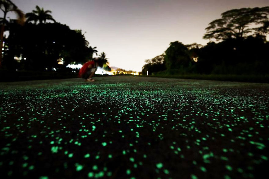 Singapore Rail Corridor Project - Glowing Exposed Aggregate Concrete - 2017