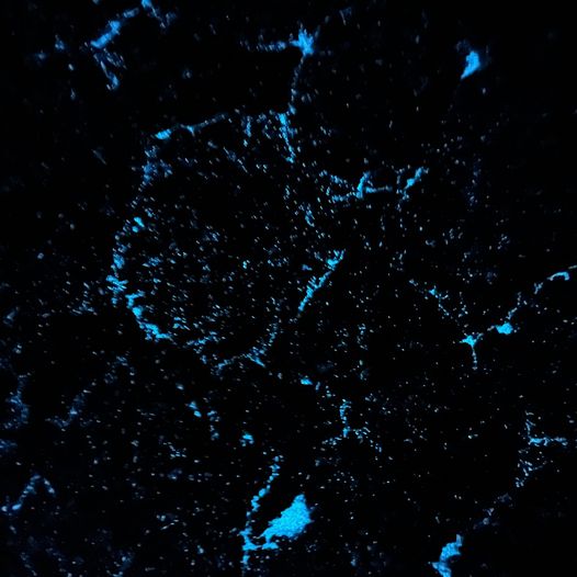 Concrete Countertop with Fine Glow Sand Veins