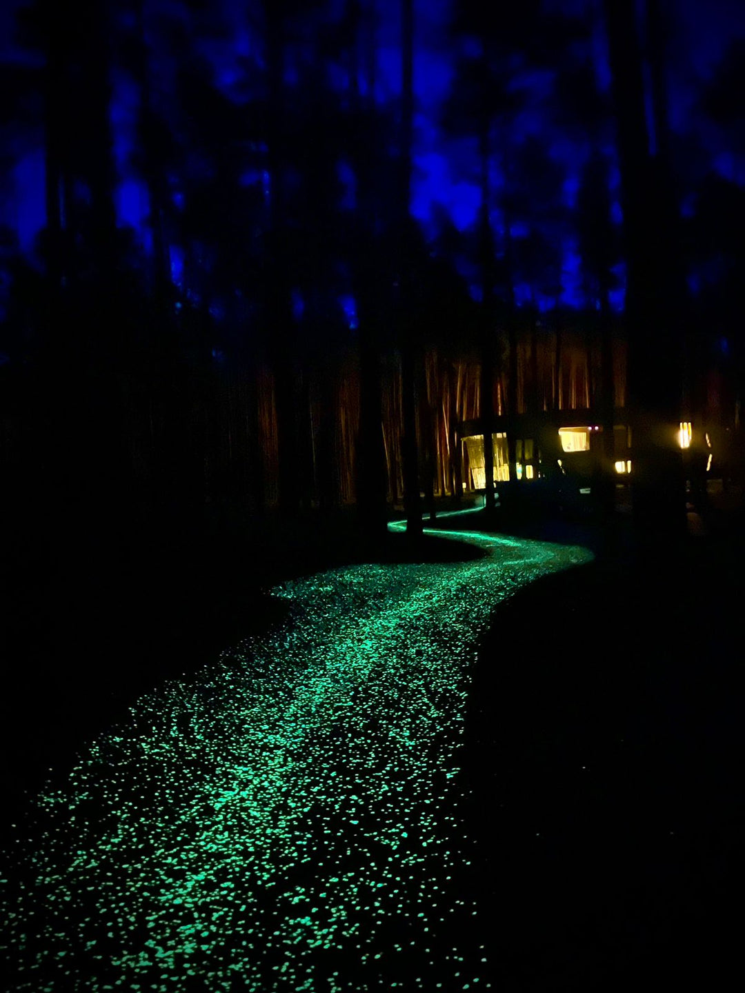 Magical Forest Pathway by BTG