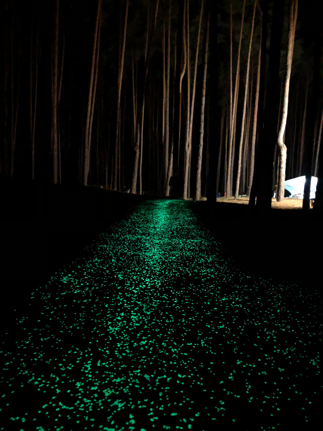 Glowing asphalt pathway with AGT ULTRA Glow Stones