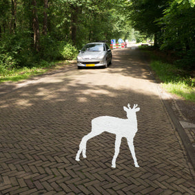 Glowing Deer Path Silhouette in the Netherlands