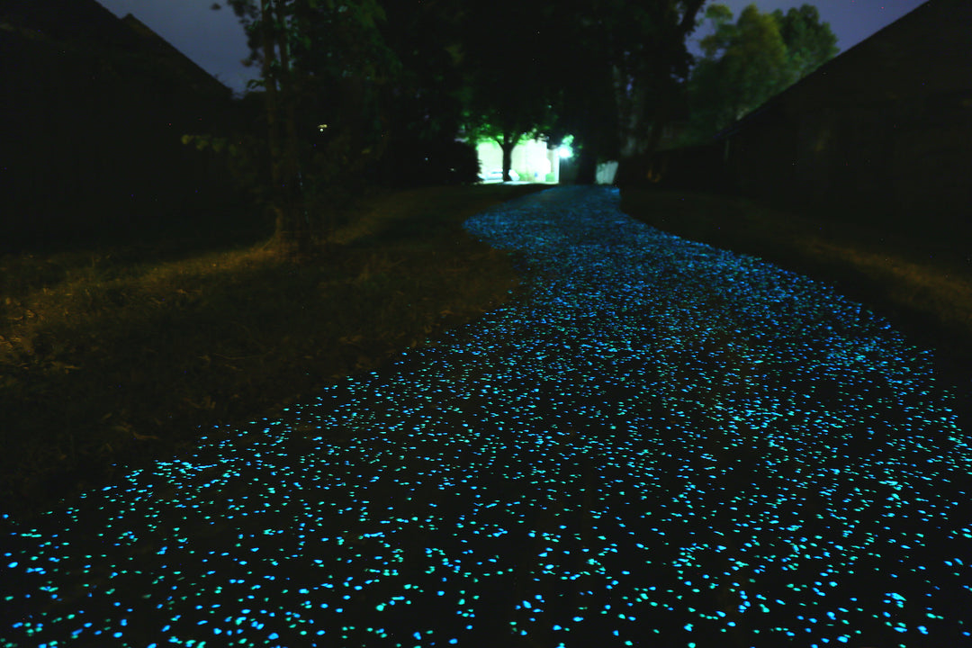 Glowing asphalt bike path Powered by AGT Glow Stone