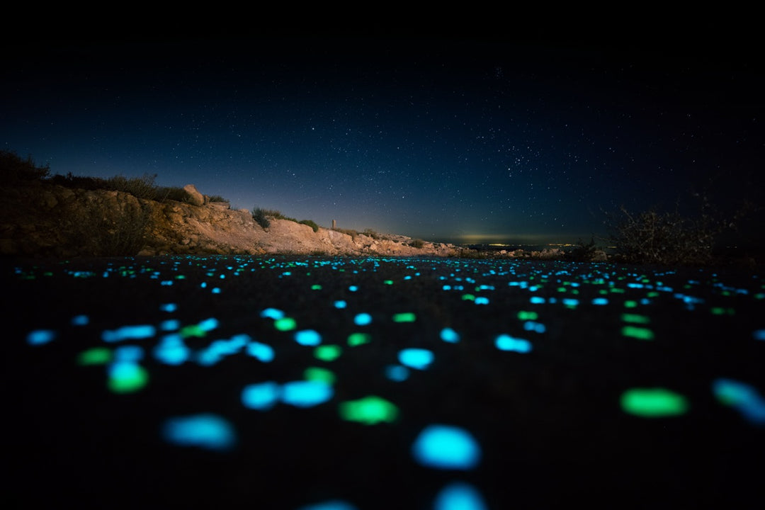 What is Glow-in-the-Dark? A Complete Guide by Ambient Glow Technology