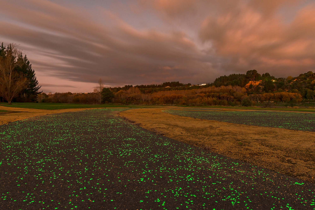 Rangitāne's Eco-City Project by Manawatū River in North Palmerston, New Zealand.