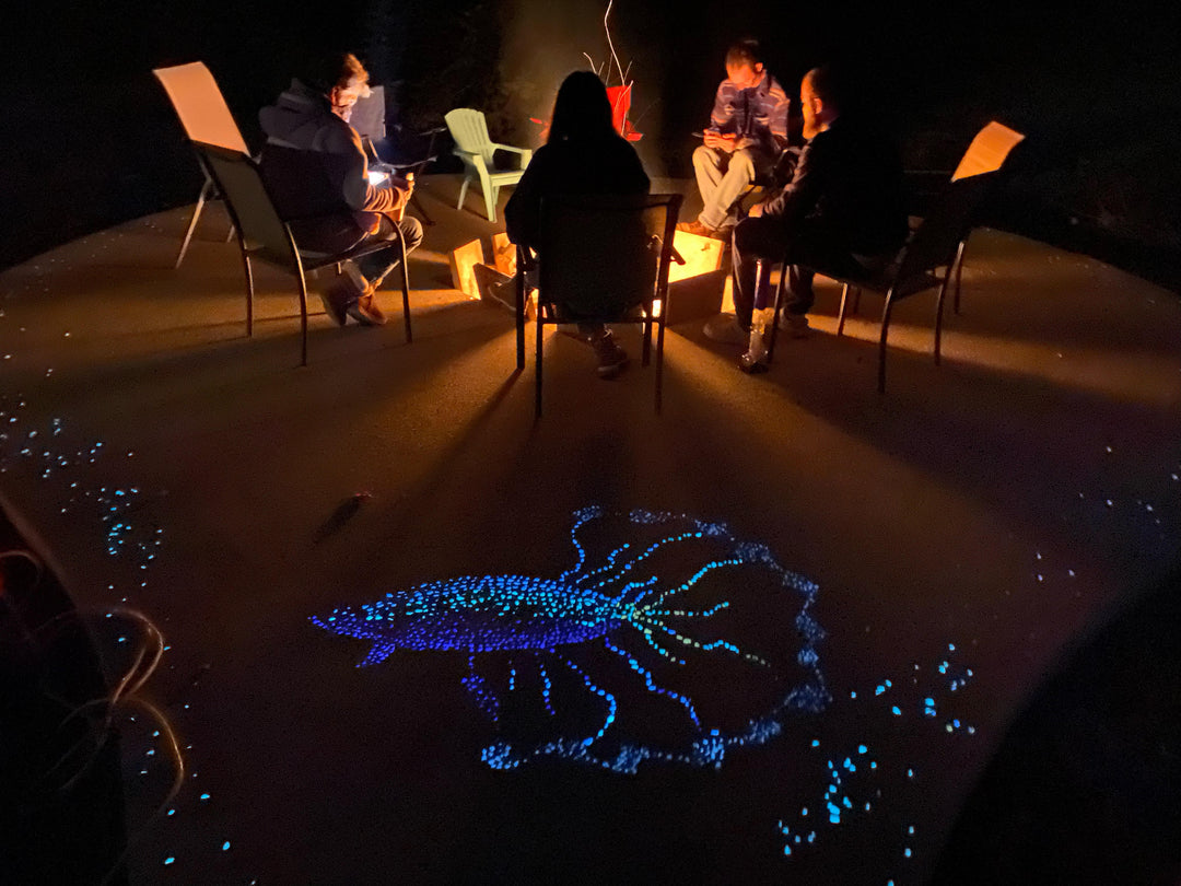 Glowing Backyard Fireplace Fish Design