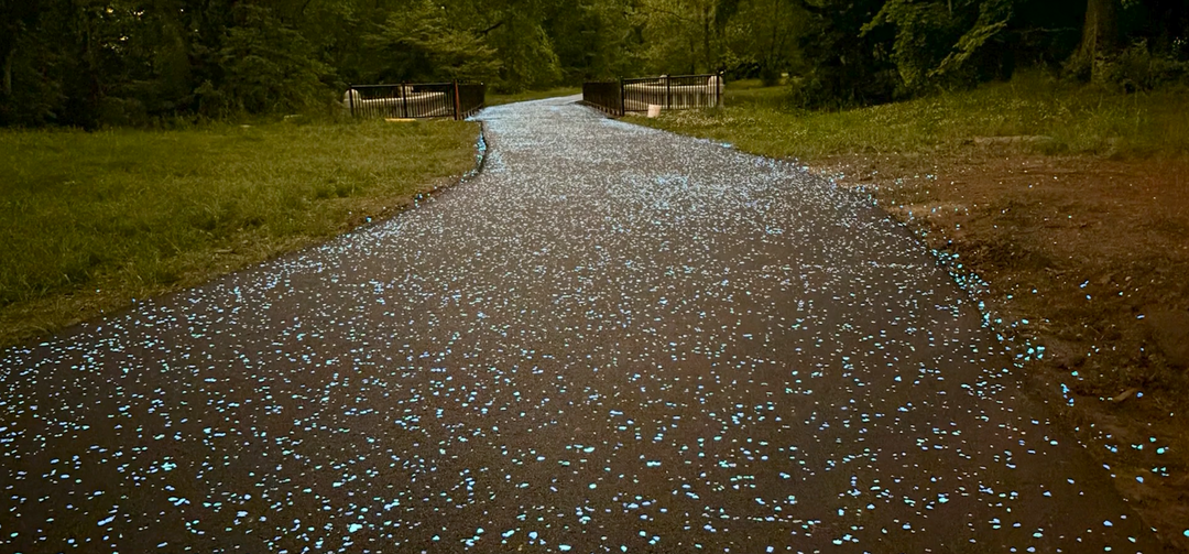 Pogues Run Greenway: Glow Stone Trail