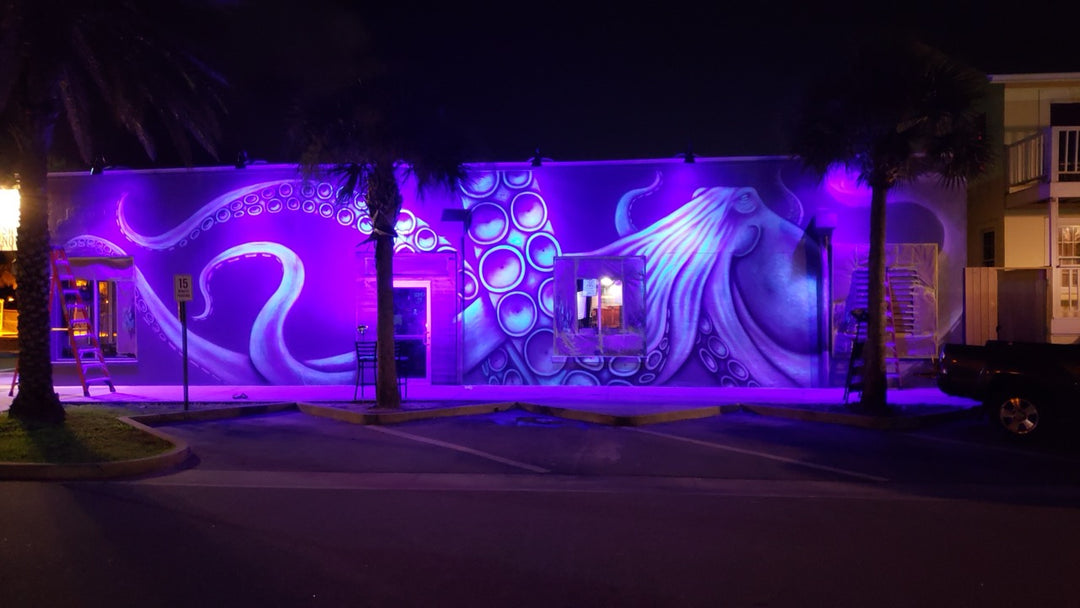 Glowing Octopus Mural - 2023 AGT™ Glow Project Photo Contest: Commercial Category Winner