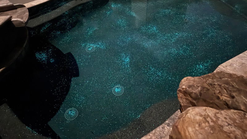 Swimming With Stars - 2025 AGT™ Glow Pool Interior Honorable Mention